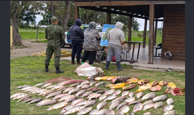 Detuvieron a tres hombres con casi 100 pescados en plena veda en el río Paraná