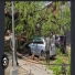 Corrientes: un árbol del parque Camba Cuá cayó sobre un auto y la conductora salvó su vida
